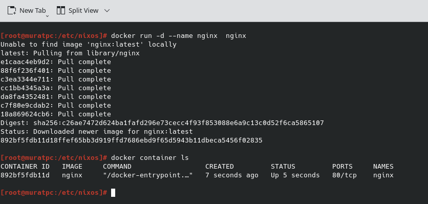 docker.png
